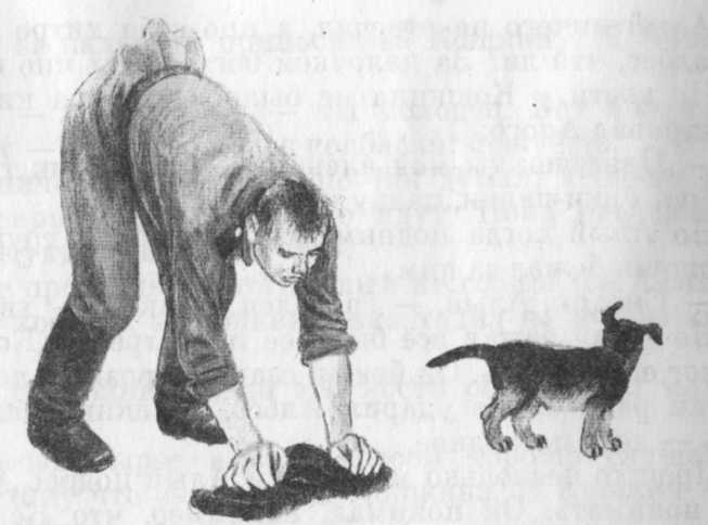 Иллюстрация к книге — Кепка с карасями [i_004.jpg]