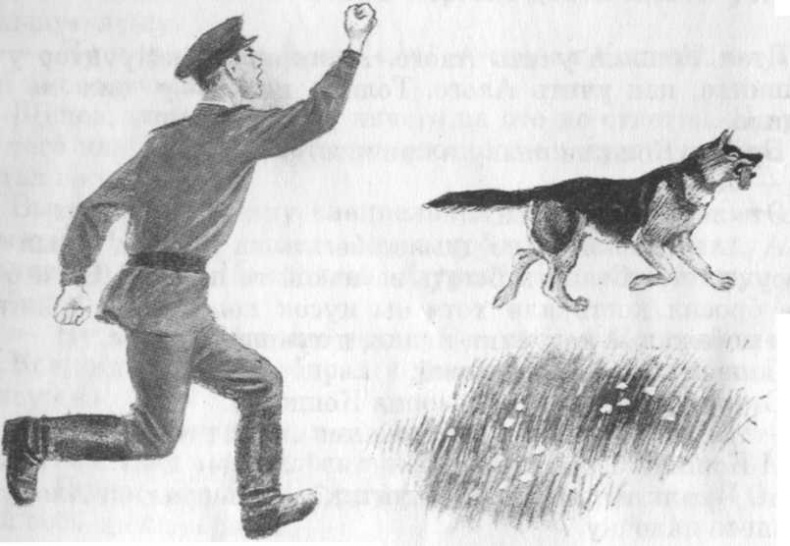 Иллюстрация к книге — Кепка с карасями [i_005.jpg]