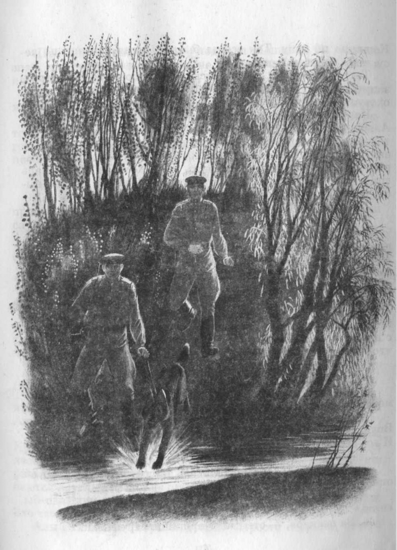 Иллюстрация к книге — Кепка с карасями [i_006.jpg]