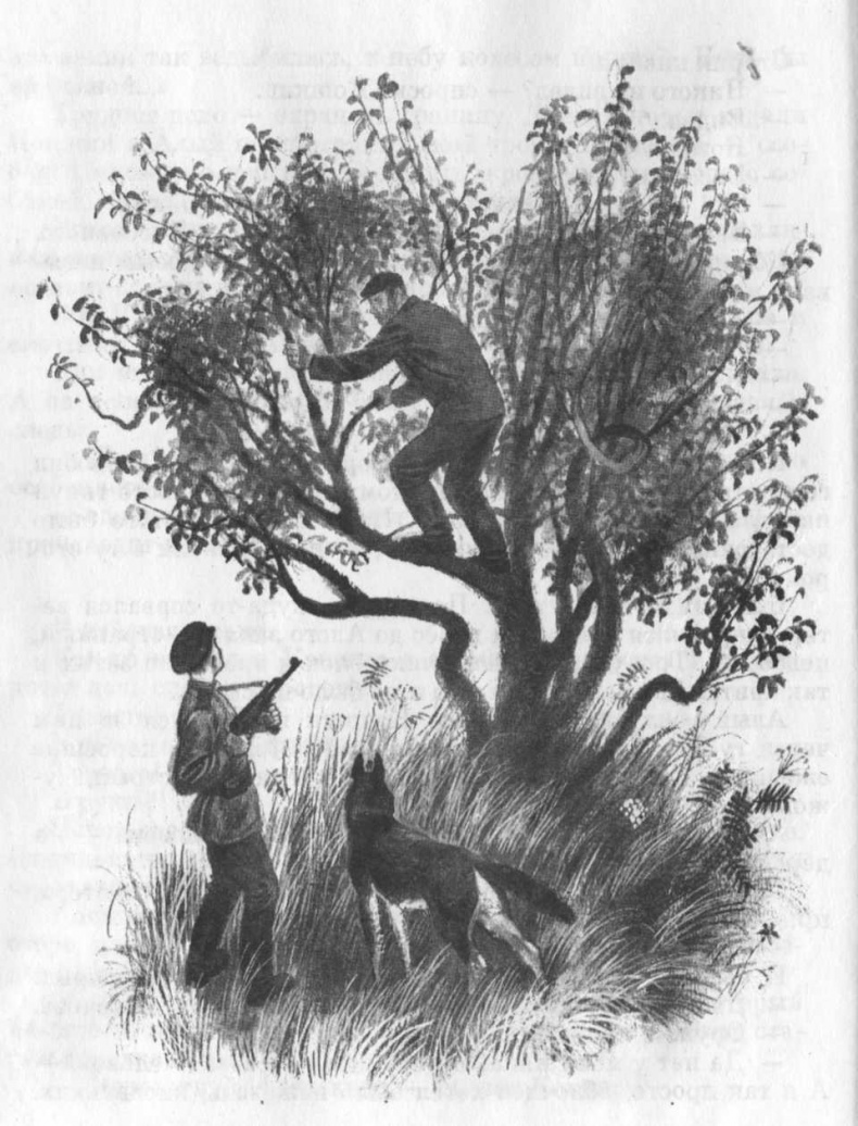 Иллюстрация к книге — Кепка с карасями [i_007.jpg]