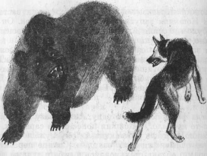 Иллюстрация к книге — Кепка с карасями [i_008.jpg]