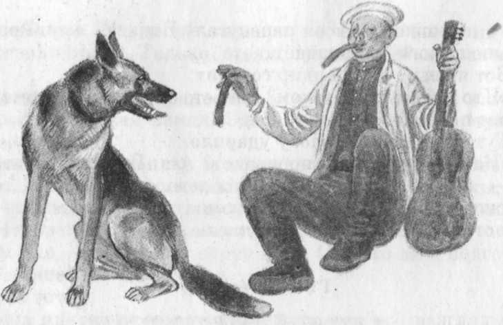 Иллюстрация к книге — Кепка с карасями [i_013.jpg]