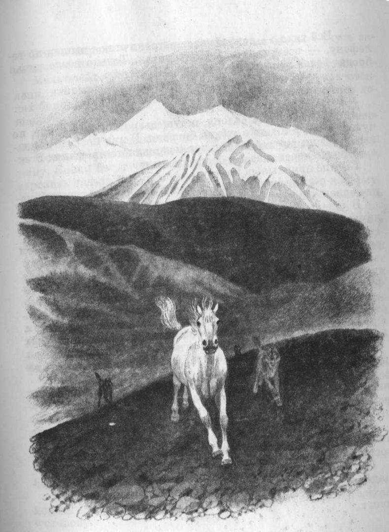 Иллюстрация к книге — Кепка с карасями [i_017.jpg]