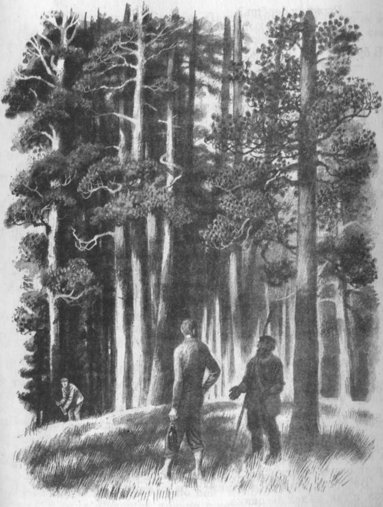 Иллюстрация к книге — Кепка с карасями [i_026.jpg]