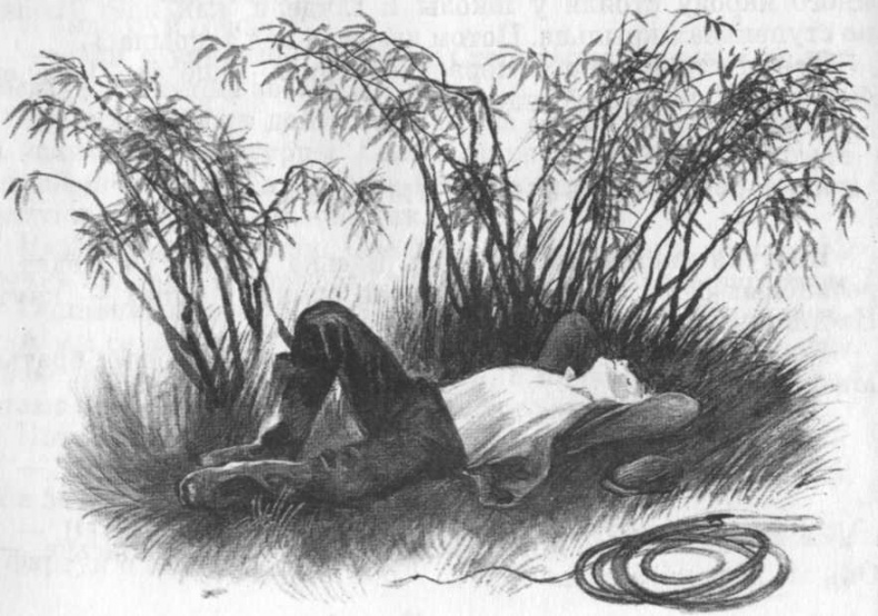 Иллюстрация к книге — Кепка с карасями [i_033.jpg]