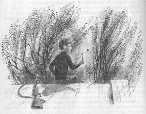 Иллюстрация к книге — Кепка с карасями [i_035.jpg]