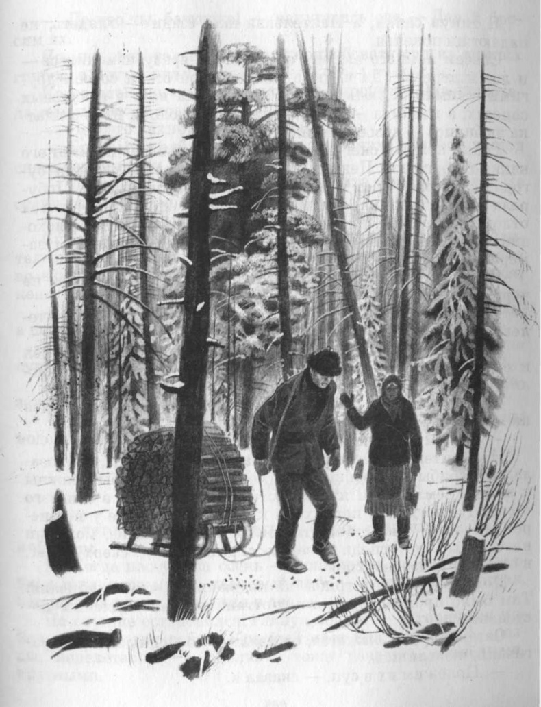 Иллюстрация к книге — Кепка с карасями [i_036.jpg]