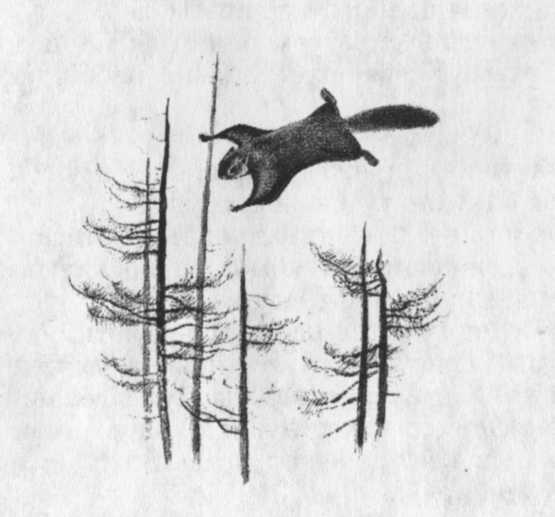 Иллюстрация к книге — Кепка с карасями [i_045.jpg]