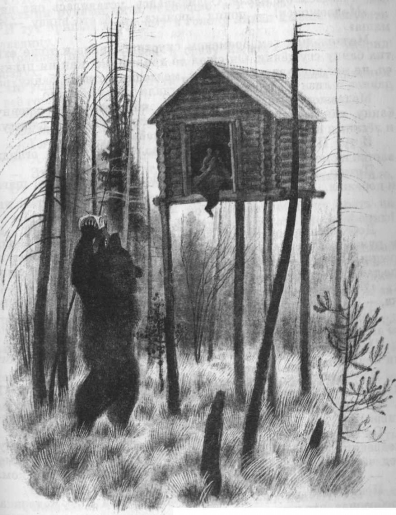 Иллюстрация к книге — Кепка с карасями [i_048.jpg]