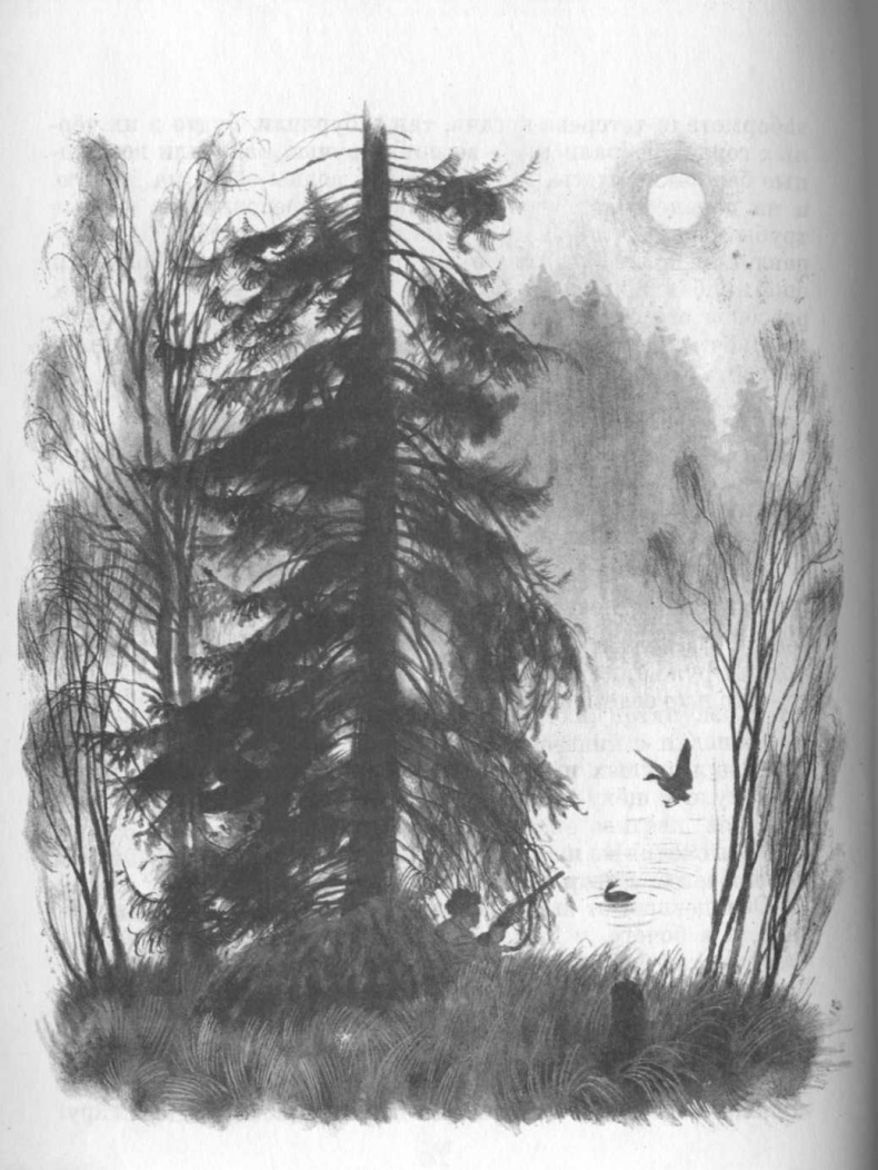 Иллюстрация к книге — Кепка с карасями [i_052.jpg]