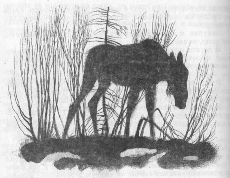 Иллюстрация к книге — Кепка с карасями [i_054.jpg]