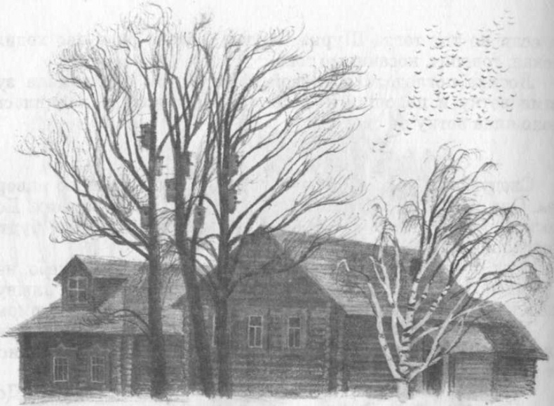 Иллюстрация к книге — Кепка с карасями [i_055.jpg]