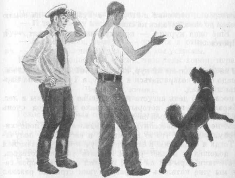 Иллюстрация к книге — Кепка с карасями [i_060.jpg]