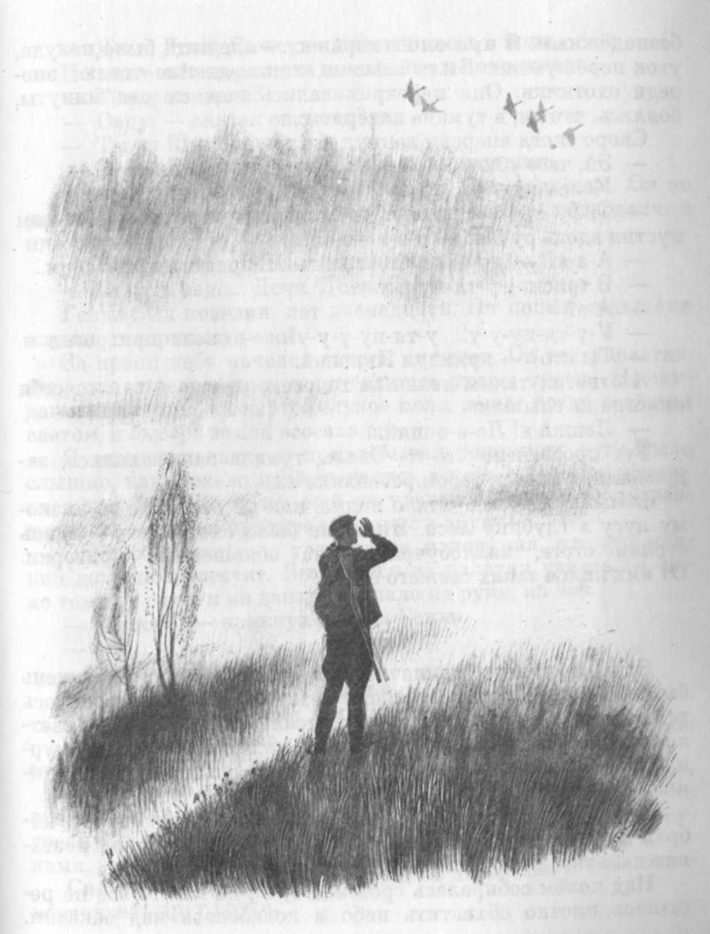 Иллюстрация к книге — Кепка с карасями [i_062.jpg]