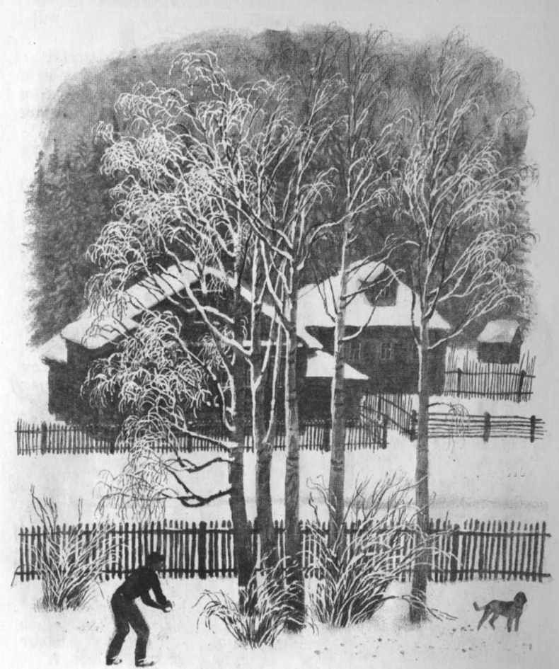 Иллюстрация к книге — Кепка с карасями [i_069.jpg]