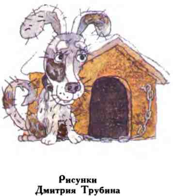 Иллюстрация к книге — Недопёсок [i_002.jpg]