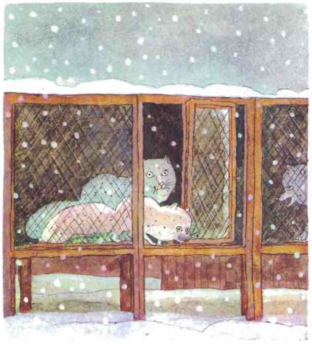 Иллюстрация к книге — Недопёсок [i_005.jpg]