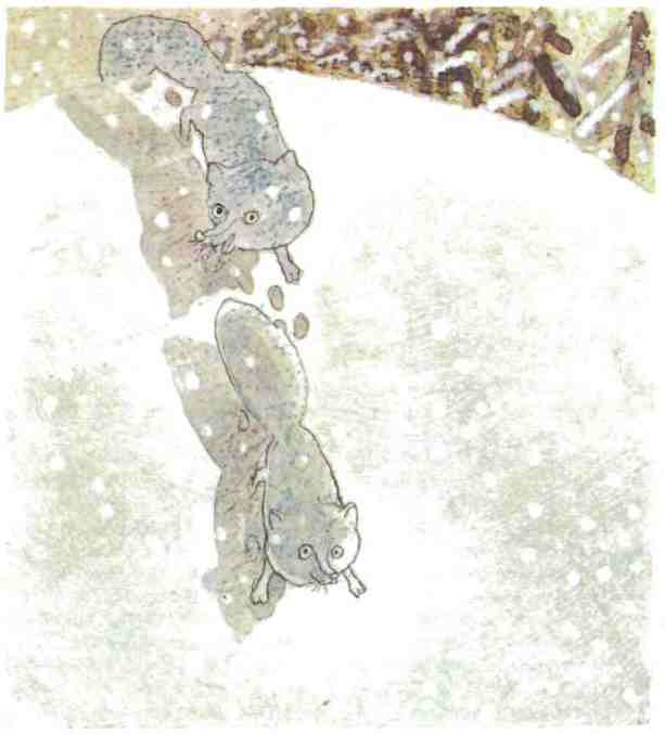 Иллюстрация к книге — Недопёсок [i_007.jpg]