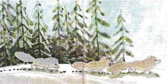 Иллюстрация к книге — Недопёсок [i_010.jpg]