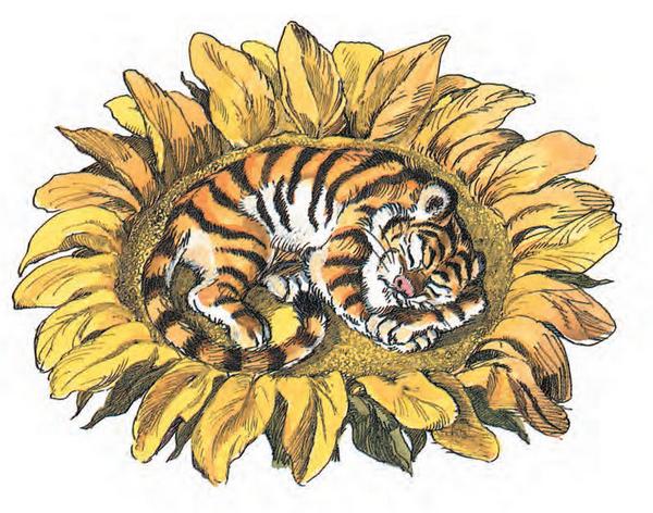 Иллюстрация к книге — Сказка про Зелёную Лошадь [i_014.jpg]