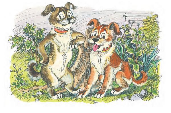 Иллюстрация к книге — Сказка про Зелёную Лошадь [i_021.jpg]