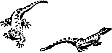 Иллюстрация к книге — Не для взрослых. Время читать! [Autogen_eBook_id18.jpg]