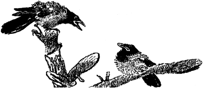 Иллюстрация к книге — Не для взрослых. Время читать! [Autogen_eBook_id60.jpg]