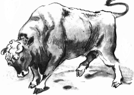 Иллюстрация к книге — Не для взрослых. Время читать! [Autogen_eBook_id86.jpg]