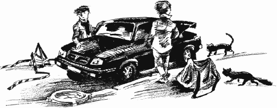 Иллюстрация к книге — Дела и ужасы Жени Осинкиной [i_011.png]