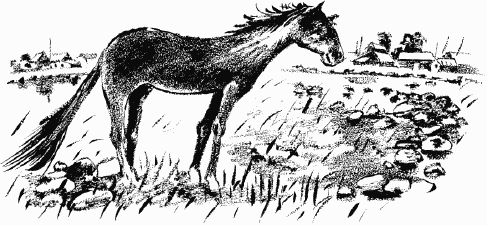 Иллюстрация к книге — Дела и ужасы Жени Осинкиной [i_016.png]