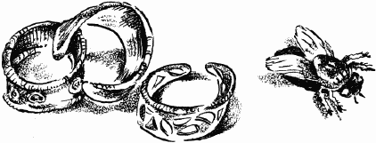 Иллюстрация к книге — Дела и ужасы Жени Осинкиной [i_045.png]