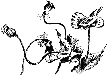 Иллюстрация к книге — Дела и ужасы Жени Осинкиной [i_052.png]