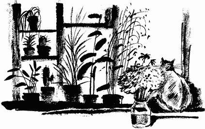 Иллюстрация к книге — Дела и ужасы Жени Осинкиной [i_067.png]