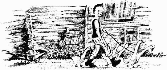 Иллюстрация к книге — Дела и ужасы Жени Осинкиной [i_071.png]