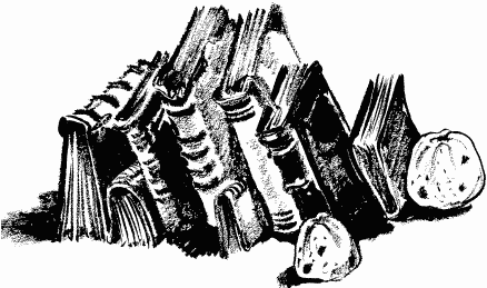 Иллюстрация к книге — Дела и ужасы Жени Осинкиной [i_082.png]