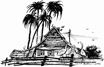 Иллюстрация к книге — Дела и ужасы Жени Осинкиной [i_093.png]