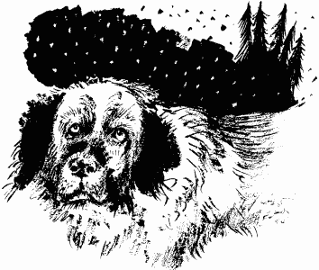 Иллюстрация к книге — Дела и ужасы Жени Осинкиной [i_094.png]