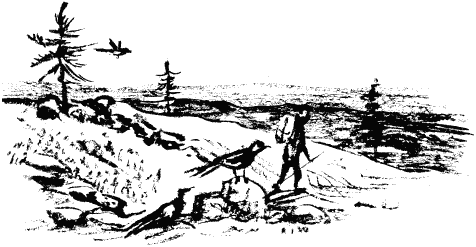 Иллюстрация к книге — Дела и ужасы Жени Осинкиной [i_119.png]