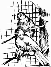 Иллюстрация к книге — Дела и ужасы Жени Осинкиной [i_126.png]