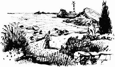 Иллюстрация к книге — Дела и ужасы Жени Осинкиной [i_137.png]