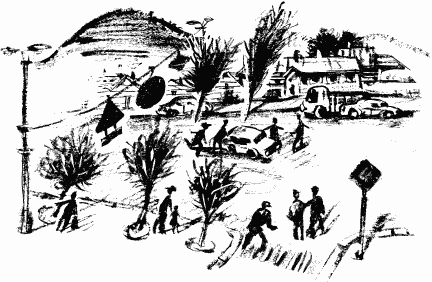 Иллюстрация к книге — Дела и ужасы Жени Осинкиной [i_147.png]