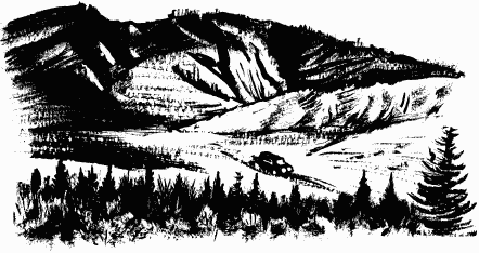 Иллюстрация к книге — Дела и ужасы Жени Осинкиной [i_161.png]