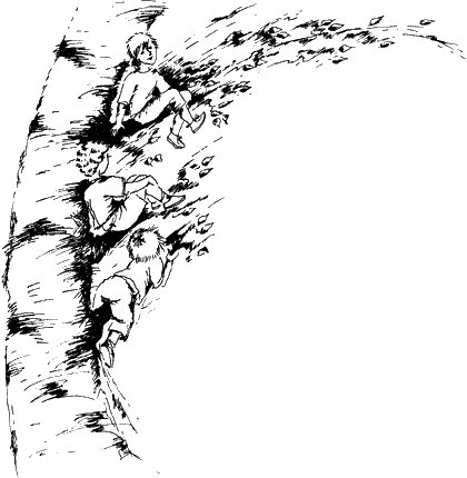 Иллюстрация к книге — Спасители Ураканда [i_003.png]