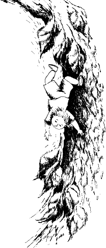 Иллюстрация к книге — Спасители Ураканда [i_026.png]