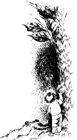 Иллюстрация к книге — Спасители Ураканда [i_027.png]