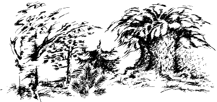 Иллюстрация к книге — Спасители Ураканда [i_047.png]