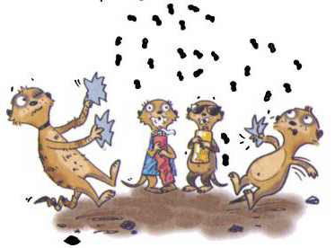 Иллюстрация к книге — Сурикаты-сумасброды. Невероятно смешные приключения в пустыне [i_003.jpg]