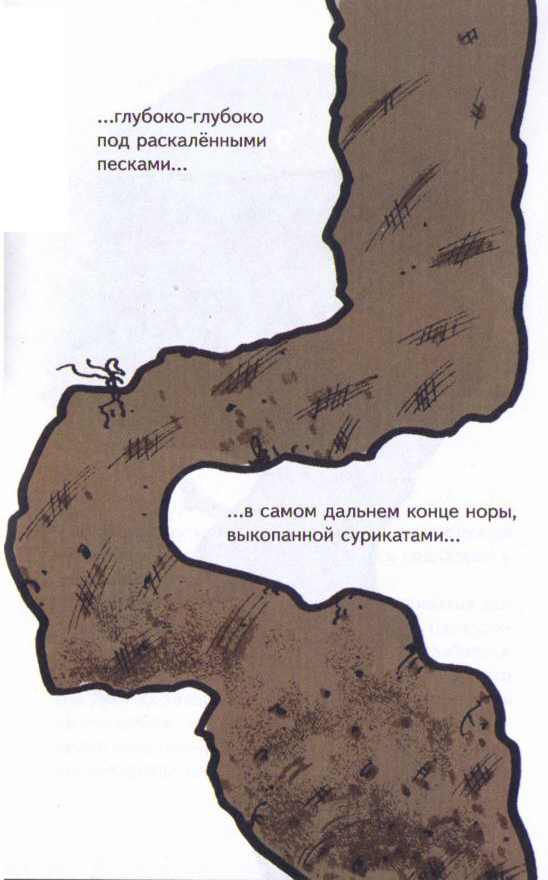 Иллюстрация к книге — Сурикаты-сумасброды. Невероятно смешные приключения в пустыне [i_007.jpg]