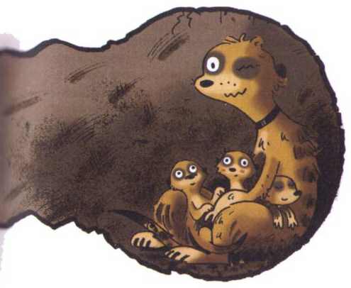 Иллюстрация к книге — Сурикаты-сумасброды. Невероятно смешные приключения в пустыне [i_009.jpg]