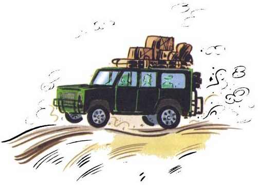 Иллюстрация к книге — Сурикаты-сумасброды. Невероятно смешные приключения в пустыне [i_012.jpg]